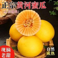 移动端、京东百亿补贴：金百粟 陕西黄金蜜瓜 4.5斤 实惠装
