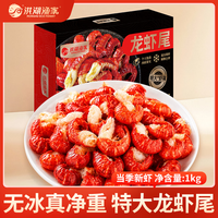洪湖渔家 单冻龙虾尾 无冰净重1kg 特大60-80粒/斤