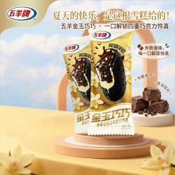 五羊牌 冰淇淋支装金玉巧巧香草巧克力味脆皮雪糕批发冷饮冰激凌75g*1支
