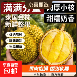 京喜自营-专用品牌 6月4日前发货泰国巴掌金枕榴莲热带新鲜整果带壳 巴掌金枕榴莲8-10斤（2-4个装，大小随机）