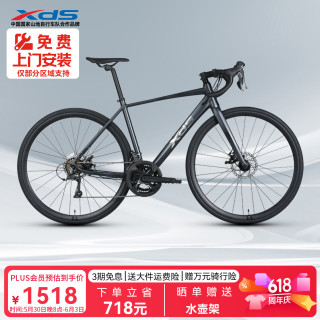 喜德盛 公路自行车2025款RC300碟刹走线车架 16速 灰黑色 520MM 灰黑色 16速