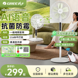 格力 电风扇10扇叶台式落地扇家用节能定时静音宿舍大风力语音立式