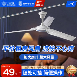 钻石牌 钻石牌小吊扇客厅床上家用吊挂式风扇大风力轻音蚊帐电风扇宿舍