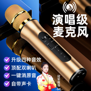 听声者 无线蓝牙声卡麦克风话筒音响一体音效家庭户外通用全民唱歌
