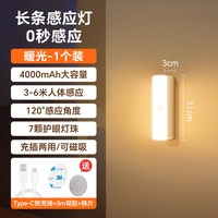 真亮美 人体感应 LED充电小夜灯
