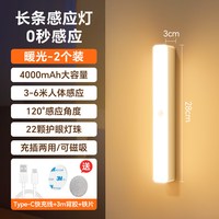 真亮美 人体感应 LED充电小夜灯