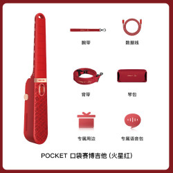 恩雅音乐 CyberG Pocket无弦吉他口袋赛博自动挡  多重好礼