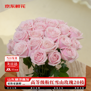 京东鲜花 玫瑰花 粉红雪山 20枝 50-55cm