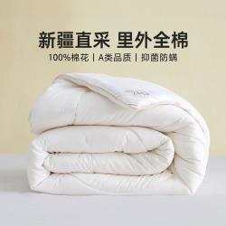 水星家纺 100%新疆棉花被子春秋被夏凉被冬被棉被褥空调被全棉被芯夏被