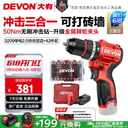 大有 12V无刷锂电钻手电钻充电钻冲击钻手转螺丝刀5209双电2.0快充