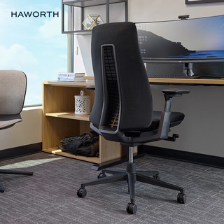 HAWORTH海沃氏 Fern人体工学椅