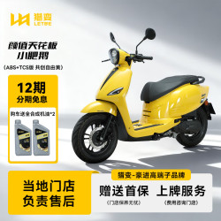 猎变 小肥鹅踏板摩托车全新可上牌整车复古燃油跑车新款电喷125机车 小肥鹅ABS TCS版 共创自由黄