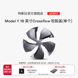 特斯拉 官方 Model Y 19 英寸 Crossflow 轮毂盖 (单个)