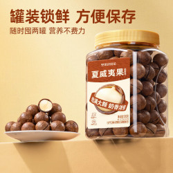 坚果进化论 夏威夷果奶油味500g大粒奶香味cps1 拍一赠一