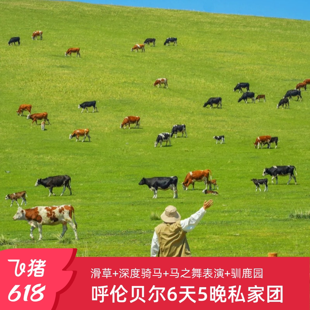呼伦贝尔大草原套娃城堡酒店白桦林卡线6天5晚跟团游