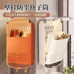 家用厨房带盖防尘筷子筒壁挂式筷篓沥水收纳盒