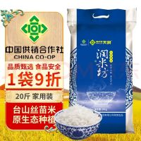 新天润 当季新米 籼米  丝苗米之乡 10kg 袋装