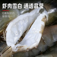 多意伦无冰白虾