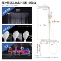 科勒 SH10雨神37963T 恒温数显挂墙淋浴柱