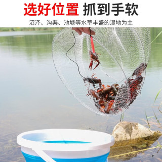 巨鳍王（JUQIWANG）简易折叠白虾网渔具三层专用钓螃蟹小龙虾地网兜捕虾吊捉龙虾网笼 5个