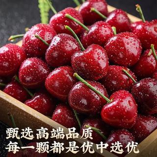 山姆大叔 国产山东大樱桃 A+特级果 22-24mm 10斤