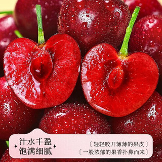 山姆大叔 国产山东大樱桃 A+特级果 22-24mm 10斤