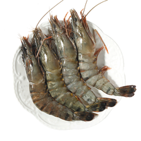 三只海豚 黑虎虾 20/30规格 净重1kg 生鲜大虾