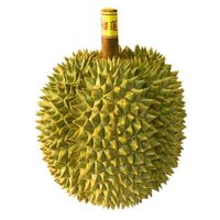 鲜耐 金枕榴莲(保4房) 净重4-5斤(1个果)