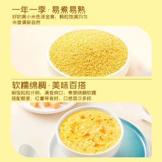 十月稻田 黄小米五谷杂粮小黄米小米粥粗粮早餐米油丰厚香 1kg