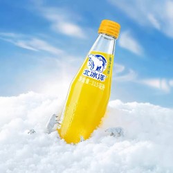北冰洋 橙子汽水桔汁汽水315mlx15瓶果汁碳酸饮料