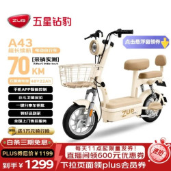 五星钻豹 长续航 电动自行车 燕麦棕