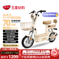 五星钻豹 A43新国标长续航电动车48V22AH电动车