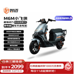 LEOSAM智迈电动摩托车踏板外卖车2500W大动力双碟刹电瓶车电摩星球灰