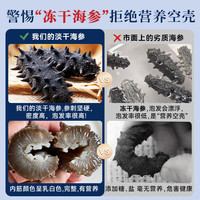 鲜驰 淡干辽刺参
