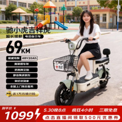 驰小虎 长续航 电动自行车  浅绿 20Ah 48V