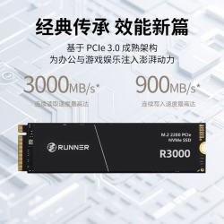 奔跑者 R3000 PCIe 3.0x4 256GB M.2 NVMe固态硬盘
