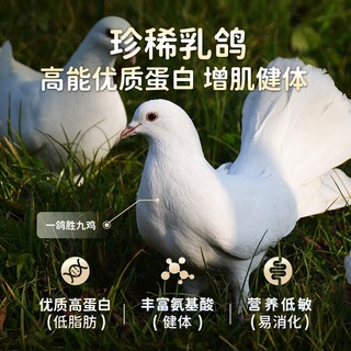 江小傲 鸡肉乳鸽配方 高蛋白冻干猫粮 10kg*5包