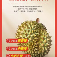 X-PLUS 泰国金枕榴莲 5-6斤 2粒装