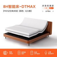 8H DTMAX 5电机智能电动床