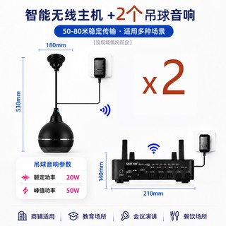 SAST先科 V1 无线蓝牙 壁挂音箱