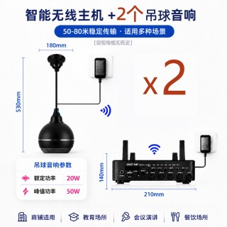 SAST先科 V1 无线蓝牙 壁挂音箱