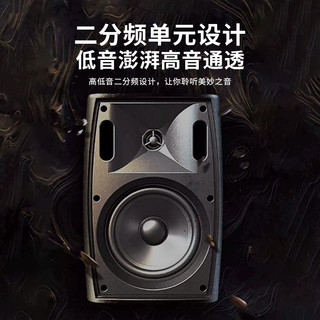 SAST先科 V1 无线蓝牙 壁挂音箱