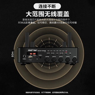 SAST先科 V1 无线蓝牙 壁挂音箱