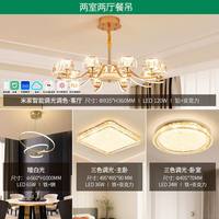 雷士 LED吸顶灯 简约现代 客厅灯