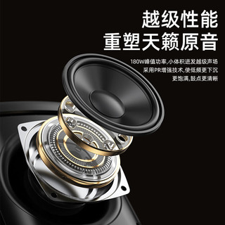 山水 V63 无线蓝牙 K歌音箱 单麦版