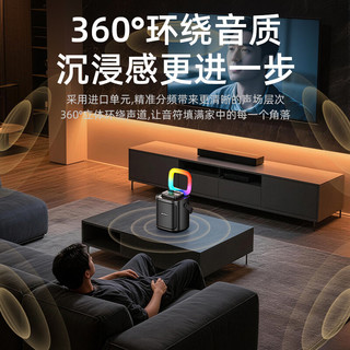 山水 V63 无线蓝牙 K歌音箱 单麦版