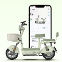 爱玛 小金豆 新国标电动自行车