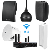 纽曼 D6 无线壁挂音箱