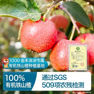 Rivsea/禾泱泱 维C草莓山楂棒 21g*10条 儿童零食