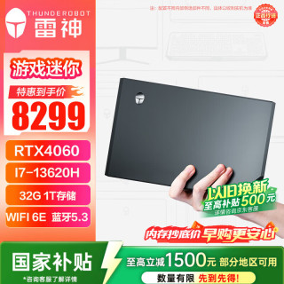 雷神 MIX 高性能游戏电竞设计台式电脑mini迷你主机(13代i7-13620H RTX4060 32G 1T)openclaw